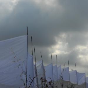 Rito della Luce 2015: La Resilienza della Bellezza - Inno alla Gioia di Vivere