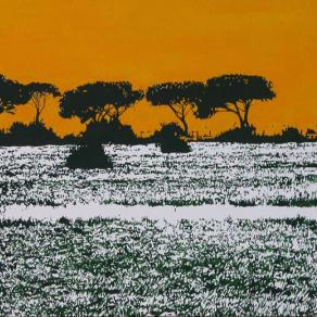 Piccolo paesaggio di Maremma