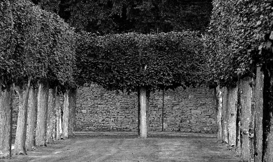 Aristocratica-mente Aristocratica-mente