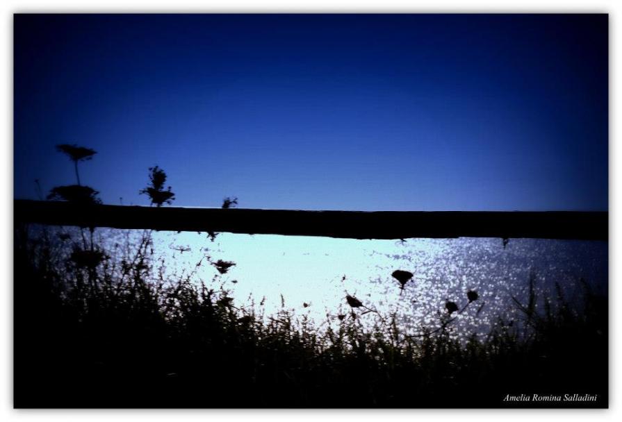 Lungomare di Sabaudia 12