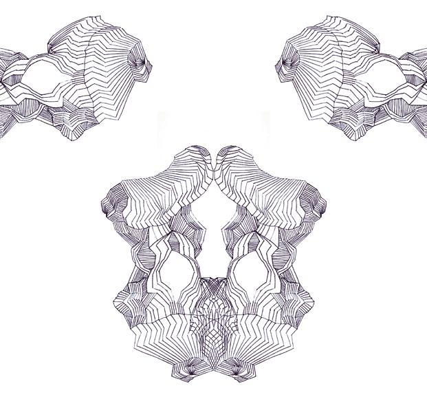 No. 9, 'anti' or 'fearful symmetry' series (click on image for animation)