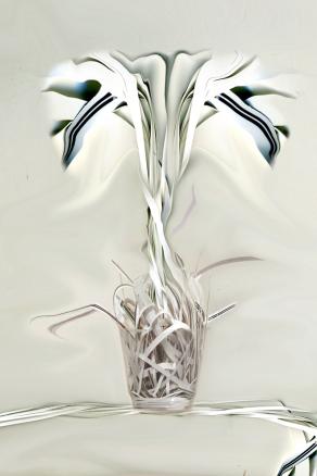 pianta diventa carta, carta ritorna pianta.