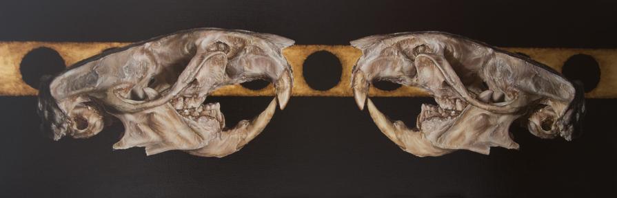 The rats are following