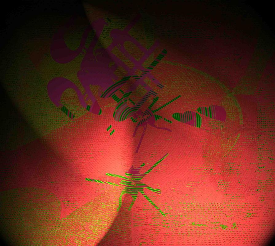 Spider on the Horn of Africa