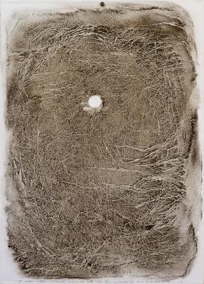 GEO-LOGICHE GEO-LOGICHE