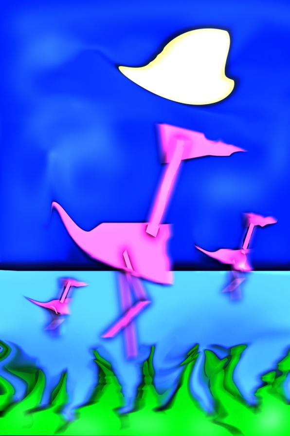 feniccotteri rosa negli stagni di Cabras Oristano