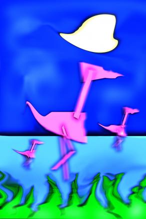 feniccotteri rosa negli stagni di Cabras Oristano