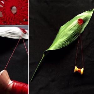 Animas - La casa del ragno Animas - La casa del ragno