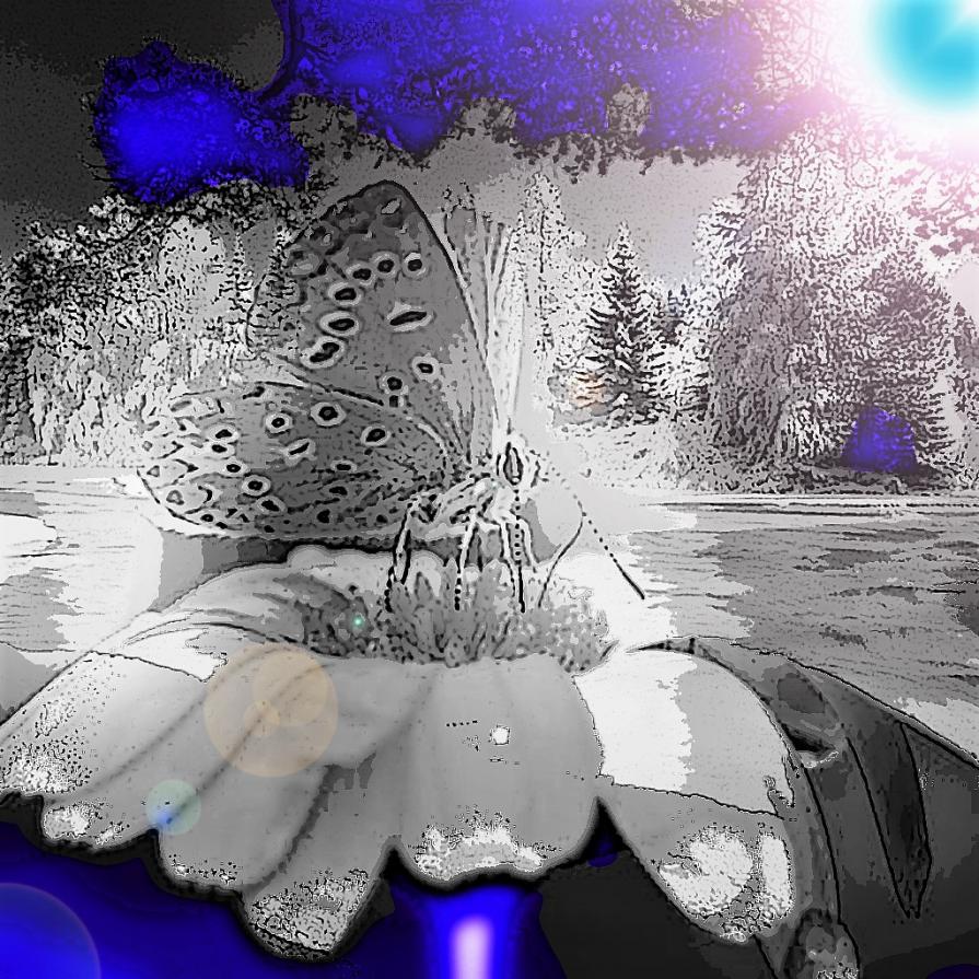 Si' che lo sai.....