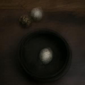 Perceptions. Quail Eggs In Bowl Perceptions. Quail Eggs In Bowl