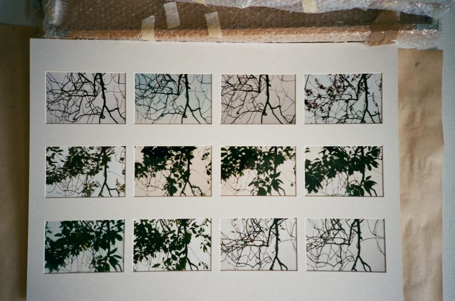 2015 Series No. 10 2015 Series No. 10