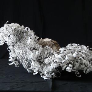 IL CAVOLO PERMANENTE DI WILSON