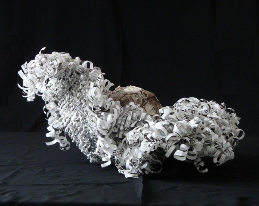 IL CAVOLO PERMANENTE DI WILSON