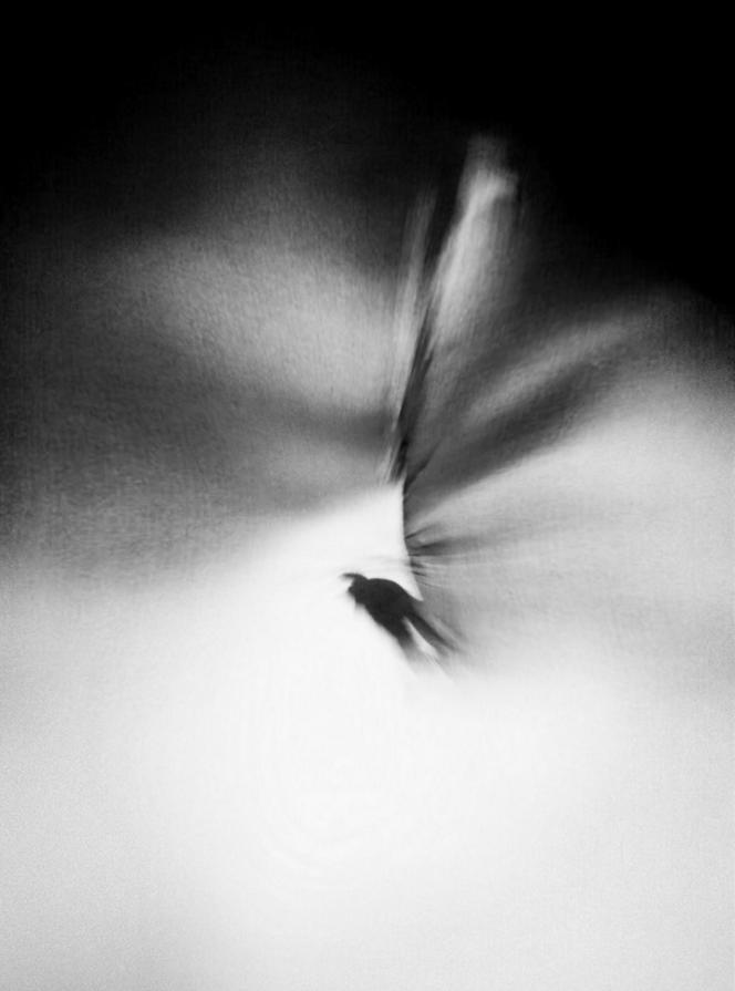 Dialogue with the shadow