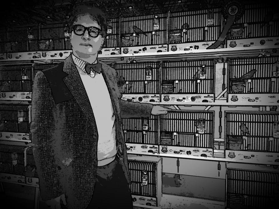 La mia seconda passione 