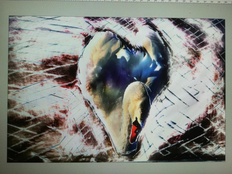 Yoko la regina di cuori. 