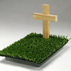 Couple Therapy to Casa d'Aste Babuino