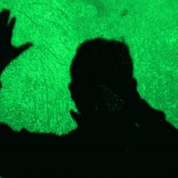 Fundación Pinturarte