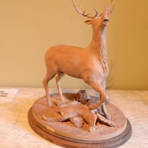 LE FOTO DI ALTRA NATURA IN VILLA fino al 25 ottobre CLUB LA MERIDIANA (MO)