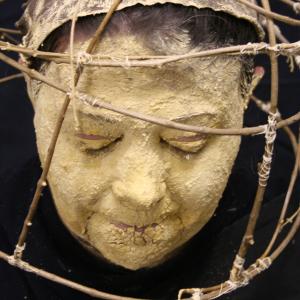 SHAMAN SERIES SHAMAN SERIES