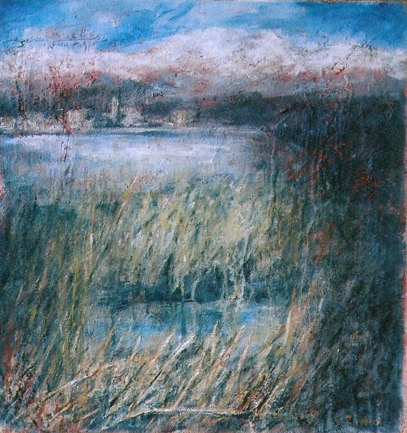 i volti della natura