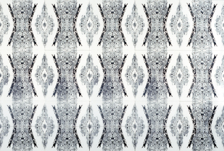 The eye of the drosophila The eye of the drosophila