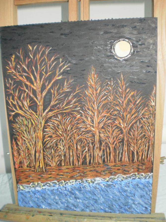 Bosco illuminato dalla luna