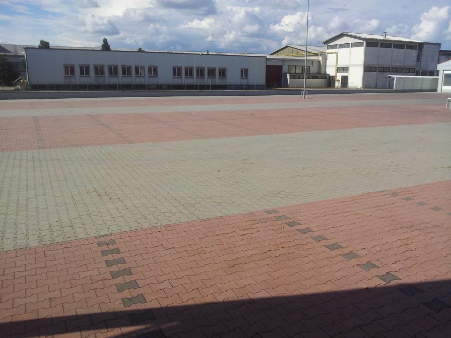 parcheggi alberati (foto GiuliArt)