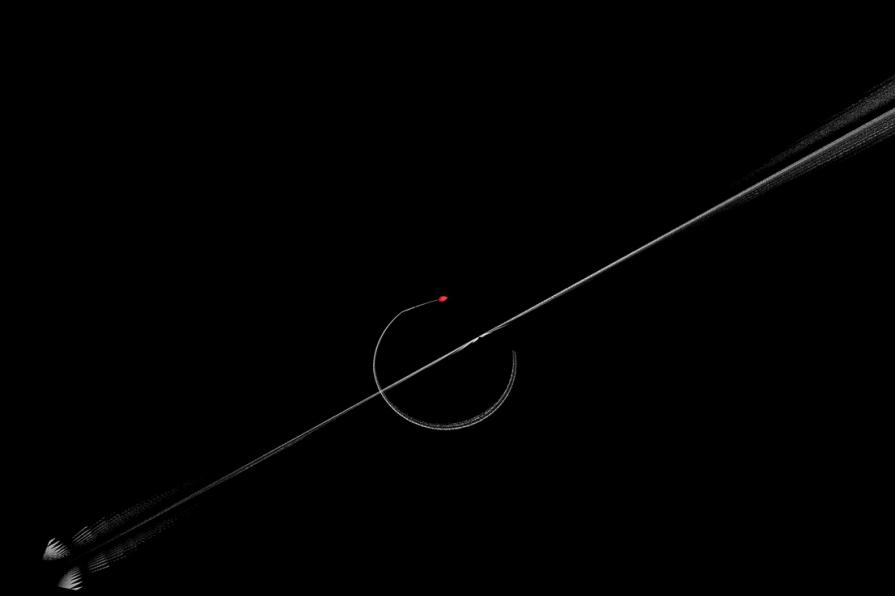 La freccia della verità 