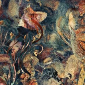 Mystery of the Birth