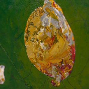 The Peasant Dance - Details