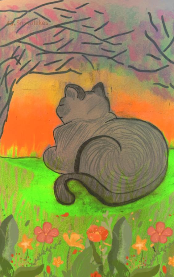 mangiano,dormono,giocano...!!!❤️❤️❤️