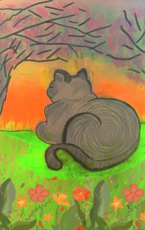 mangiano,dormono,giocano...!!!❤️❤️❤️