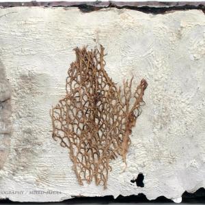 I bambini e le donne della Shoah