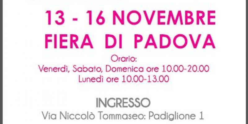 Contemporay Art Talent Show: C.A.T.S.