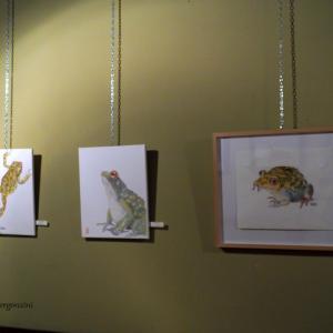 ANIMALS ART al Club La Meridiana di Modena