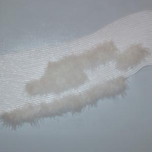 CINQUE SENSI E UN PO' DI PIù