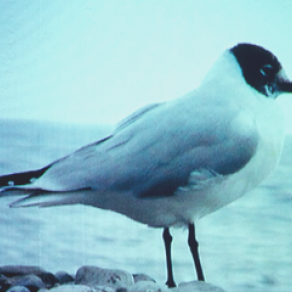 In That Moment (view m3.1)