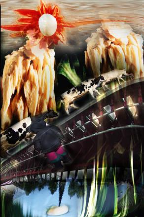 Adoro il formaggio ,di Lavarone