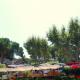 Jour de marché à Collioure
