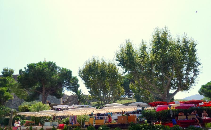 Jour de marché à Collioure