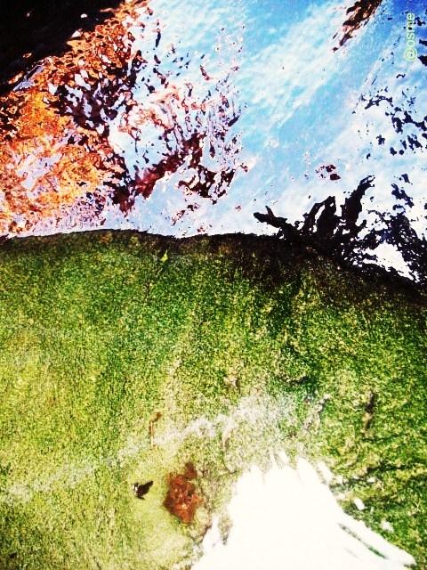 inrock # 1 inrock # 1