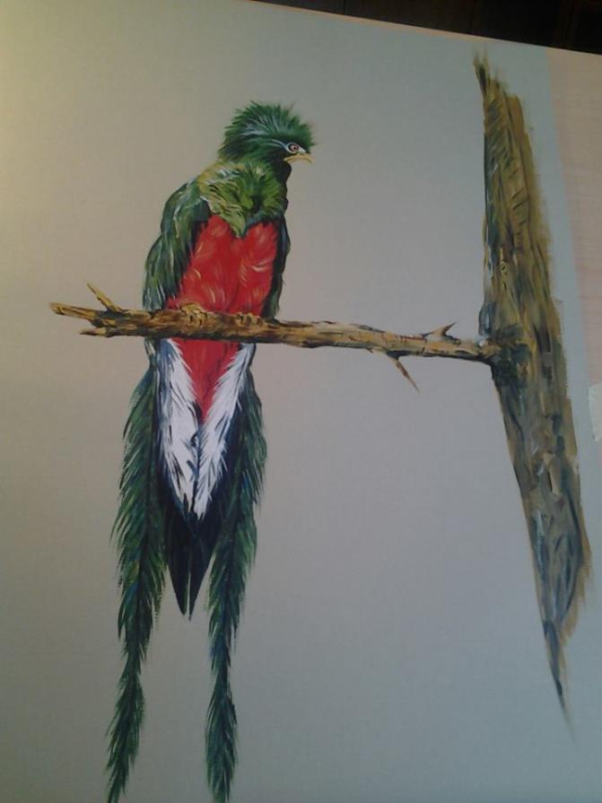 Quel che resta del paradiso