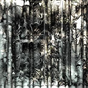 The glasses of my life to clean