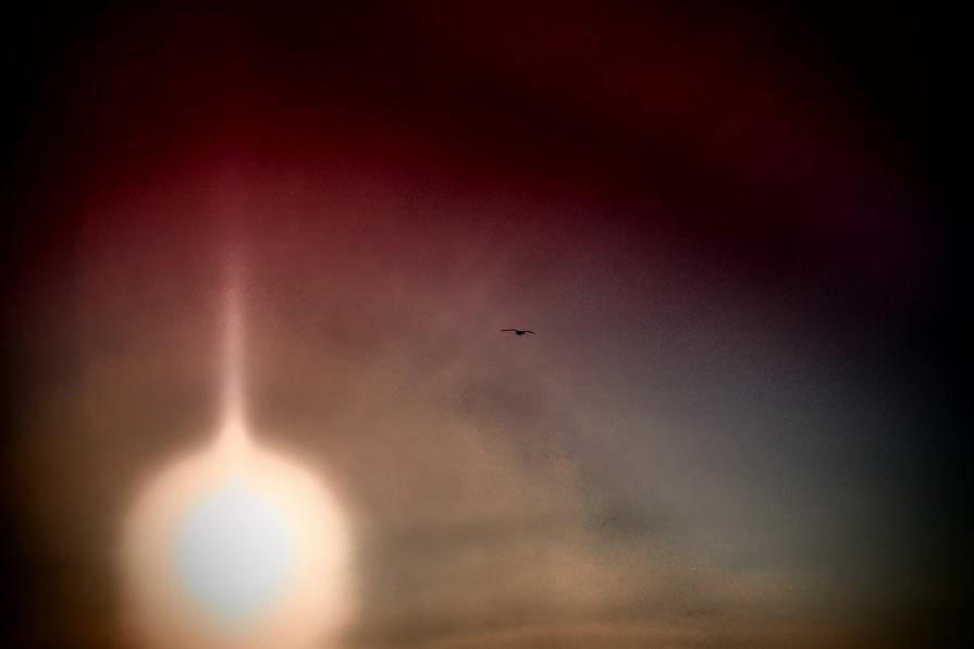 Verso il nuovo mondo 