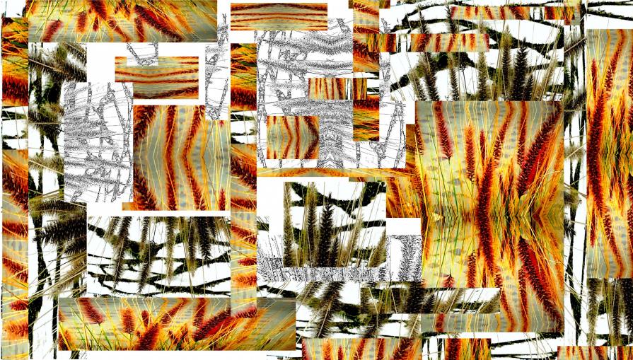 SprinG @193f CollaGE