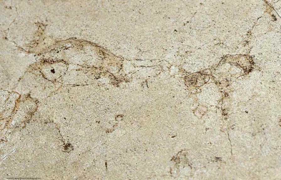 What's up? What's up?