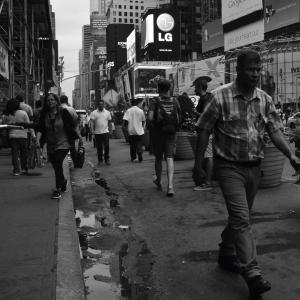 Allineamenti - 2014 - 73