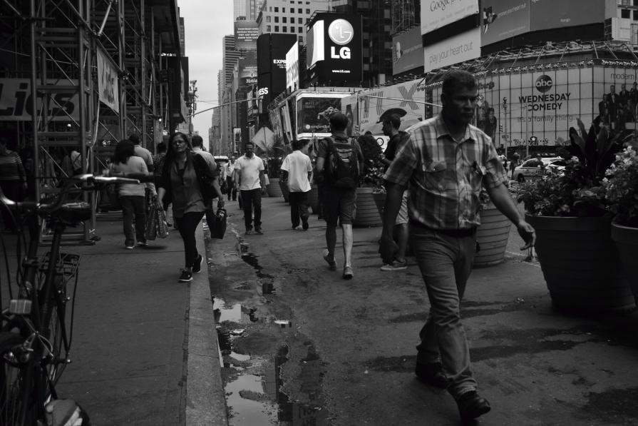 Allineamenti - 2014 - 73