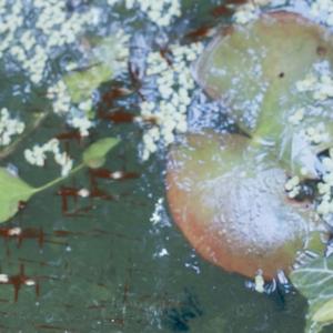 SKYLIGHTS, NIGHTLIGHT installation project 2017 SKYLIGHTS, NIGHTLIGHT installation project 2017